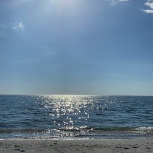 Meet your Posher, Ava